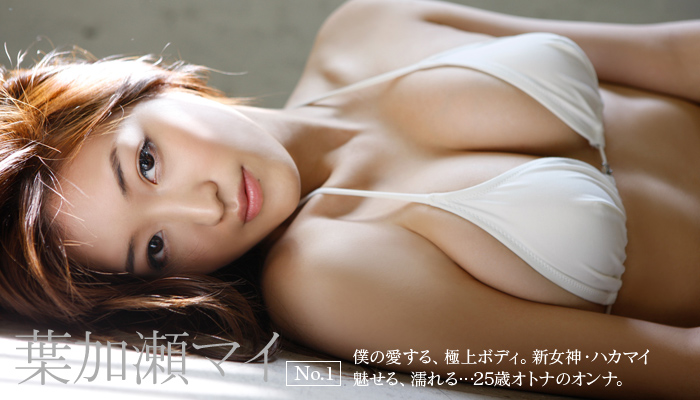 �t�����}�C�@No.1�@�l�̈�����A�ɏ�{�f�B�B�V���_�E�n�J�}�C�@������A�G���c25�΃I�g�i�̃I���i�B