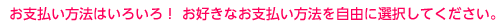 お支払い方法はいろいろ！　お好きなお支払い方法を自由に選択してください。