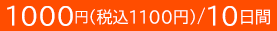 1000円（税込1100円）／10日間
